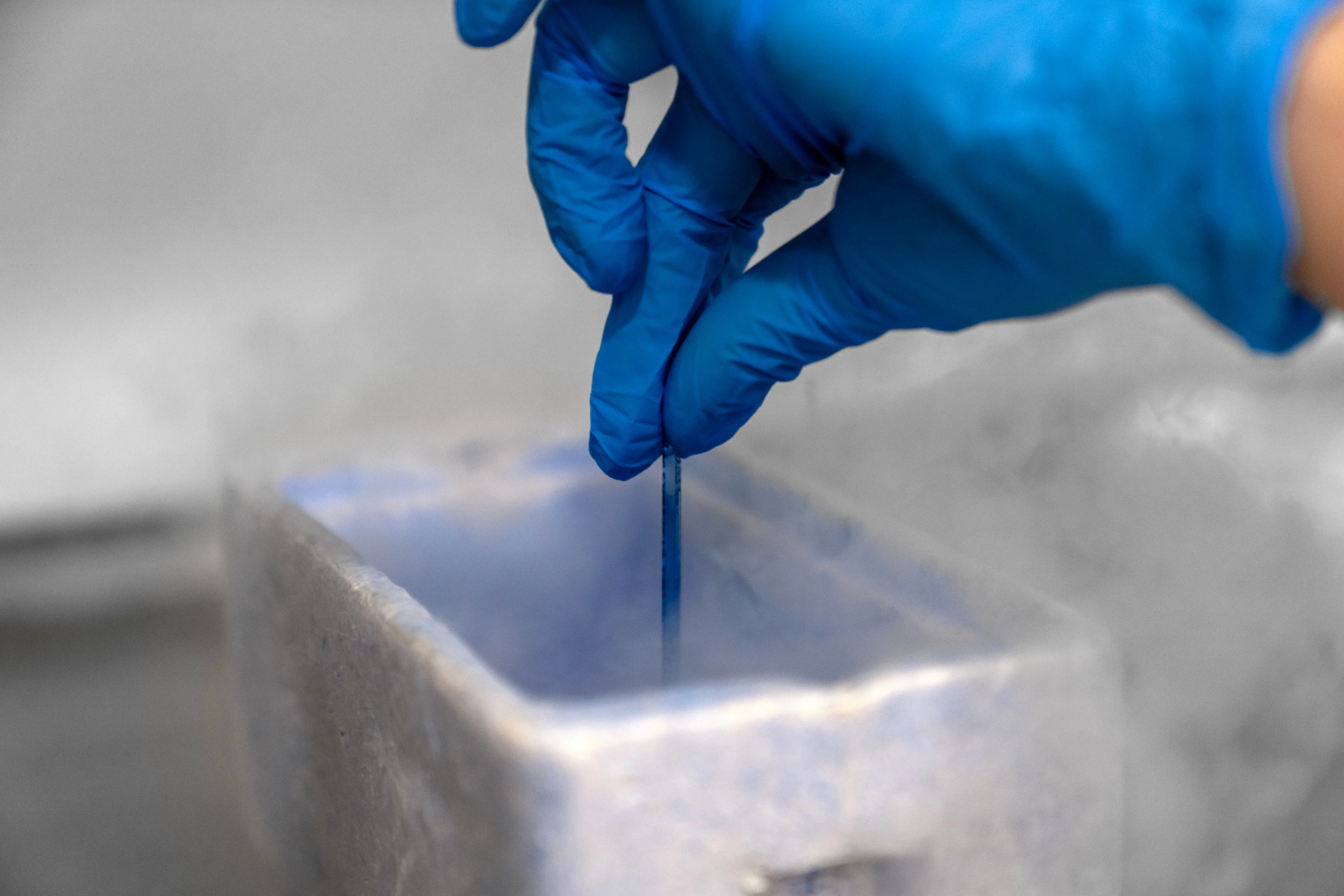 Frozen embryo transfer 2