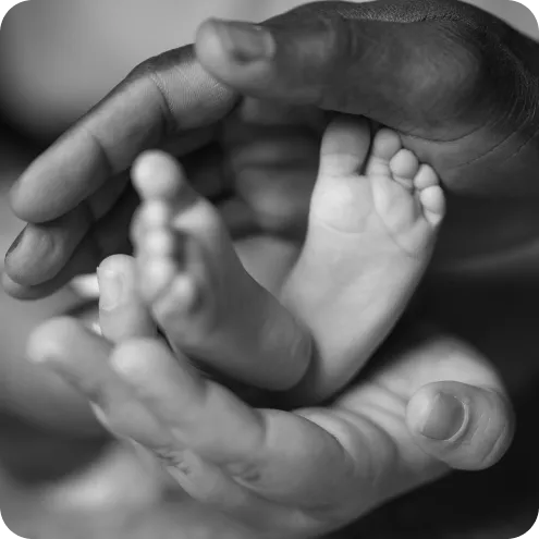 Trust and transparency